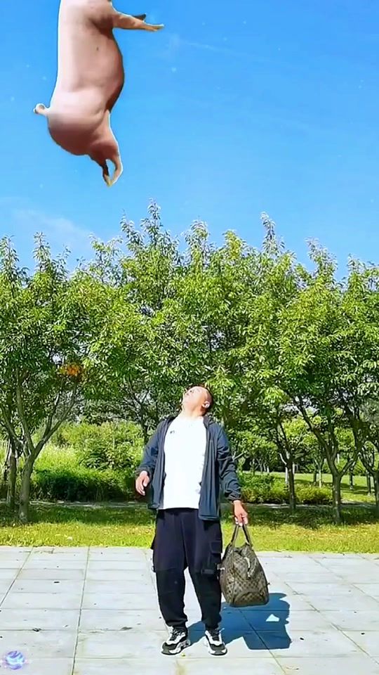 TikTok video thumbnail by 0523.cai