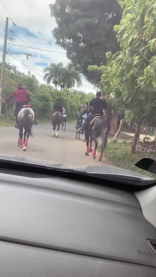 TikTok video thumbnail by hectorpolanco0114