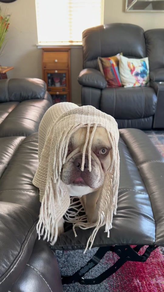 TikTok video thumbnail by roverpomchi