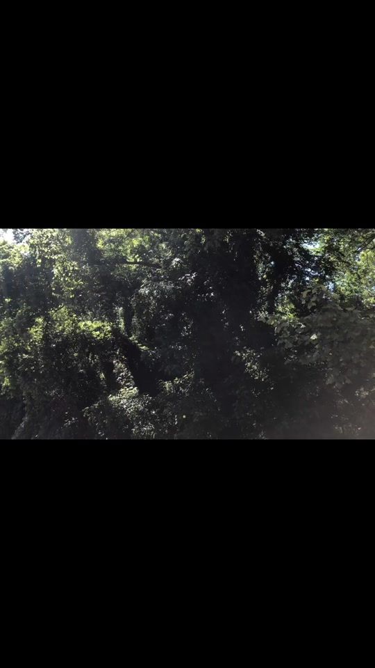 TikTok video thumbnail by __marshallevans__