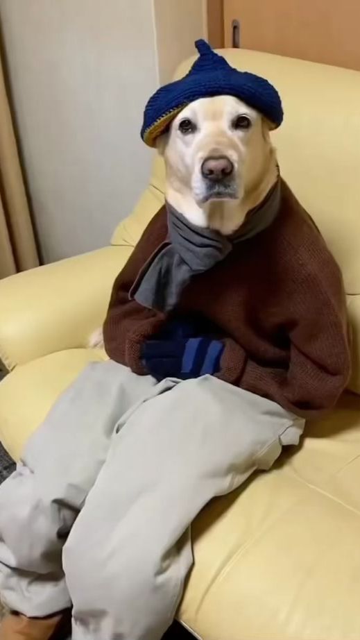 TikTok video thumbnail by lulupaw.co
