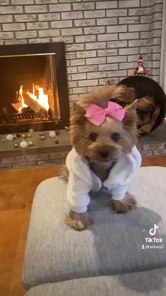 TikTok video thumbnail by alaiag2