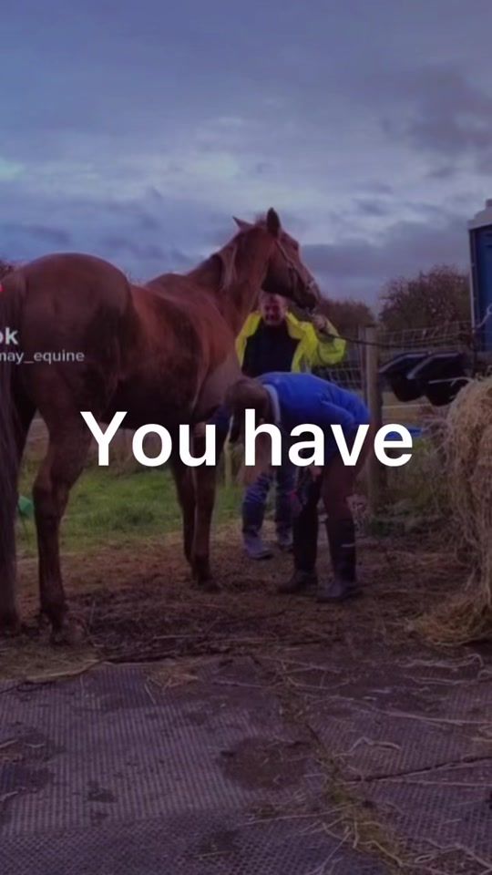 TikTok video thumbnail by pony_word