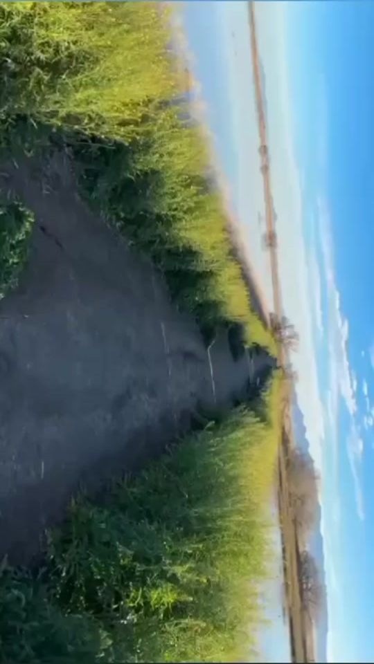 TikTok video thumbnail by raulbeltran858