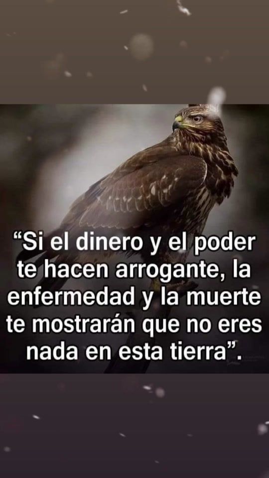 TikTok video thumbnail by la__mexicanita