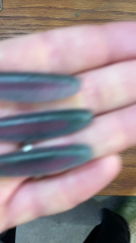 TikTok video thumbnail by halfchub_tackle