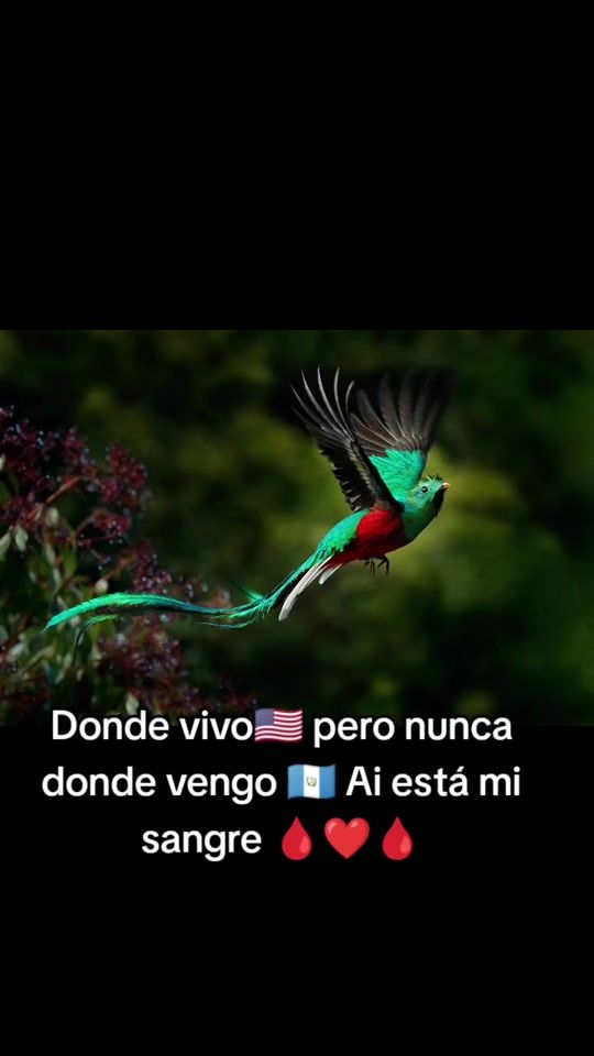 TikTok video thumbnail by marisg42
