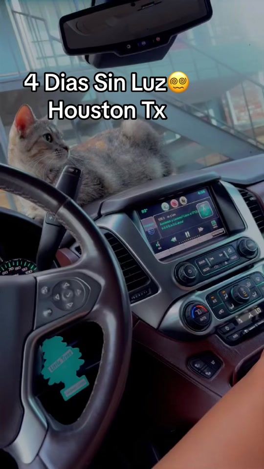 TikTok video thumbnail by elizabethh_martinez