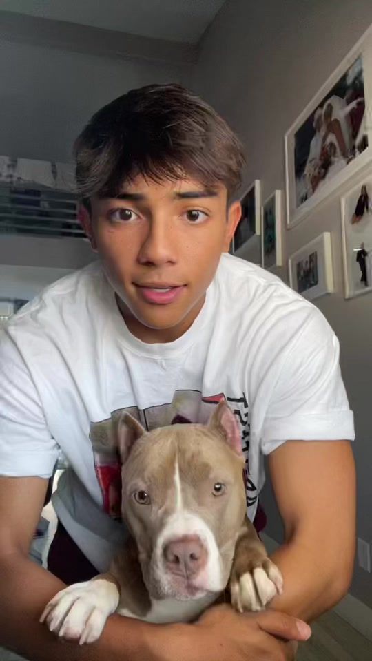 TikTok video thumbnail by donkeykid2004