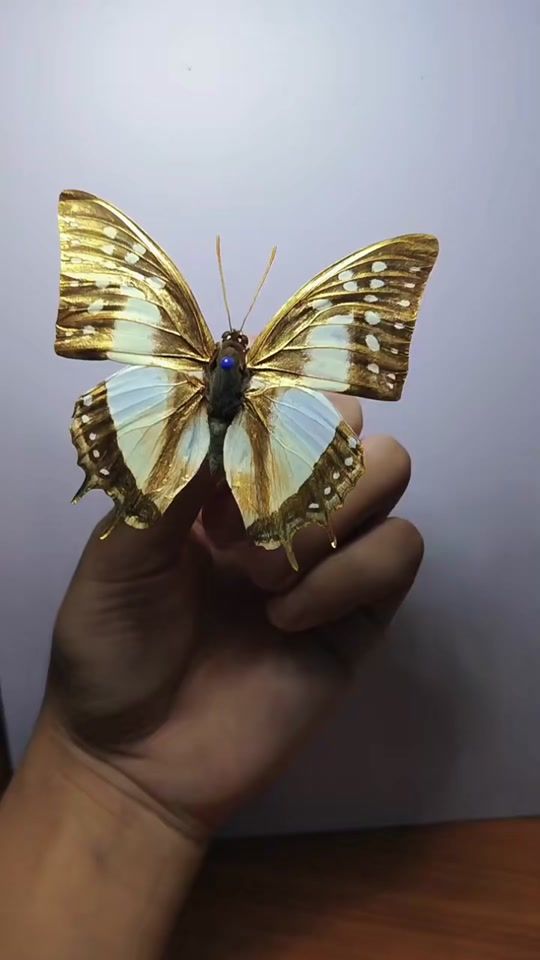 TikTok video thumbnail by lxl.china