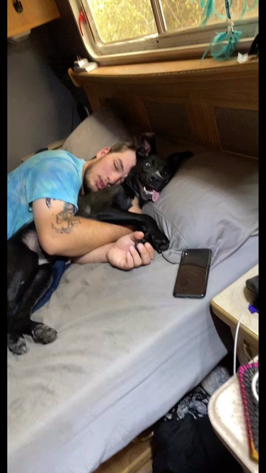 TikTok video thumbnail by mrs.gray16