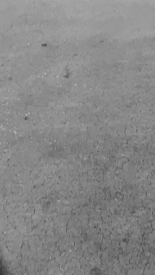 TikTok video thumbnail by camm_fish