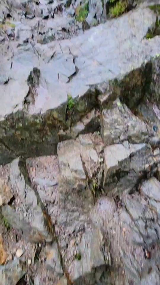 TikTok video thumbnail by that.hippie.thor