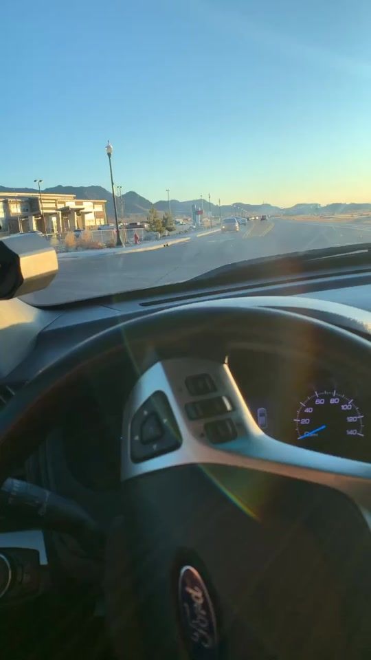 TikTok video thumbnail by furby_k9