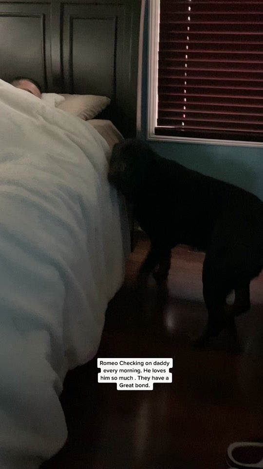 TikTok video thumbnail by alliespack