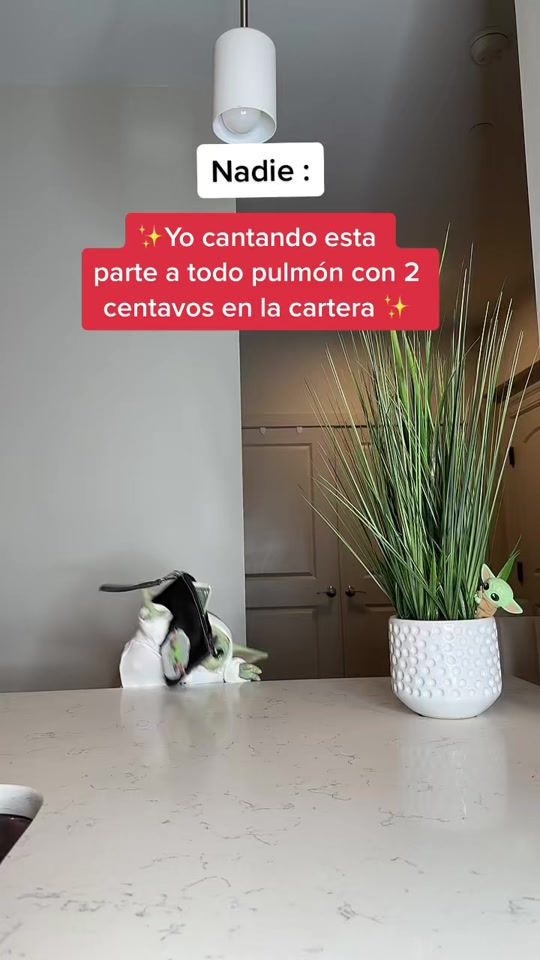 TikTok video thumbnail by sandrav3920