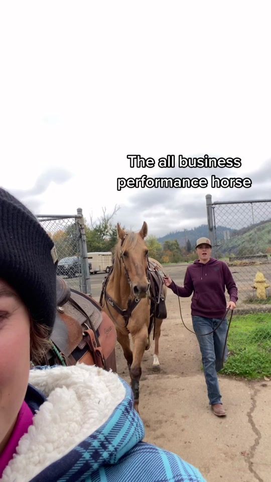 TikTok video thumbnail by shelbbeattie