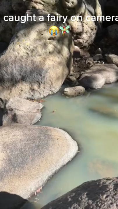 TikTok video thumbnail by cestyk_