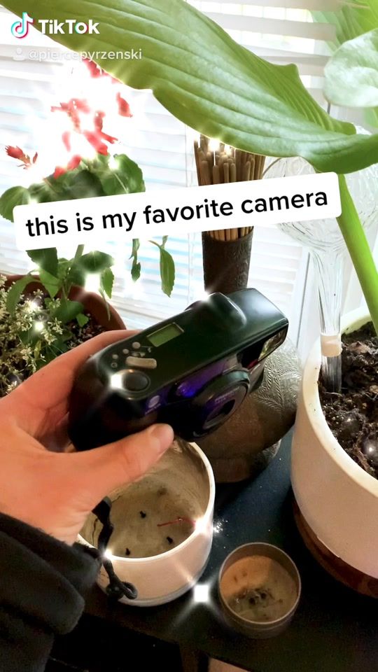 TikTok video thumbnail by piercepyrzenski