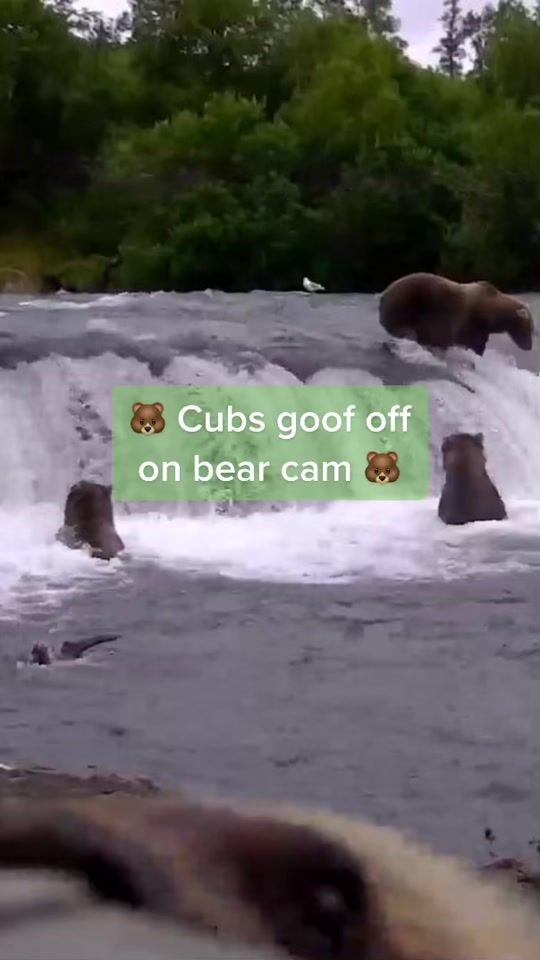 TikTok video thumbnail by exploreorg
