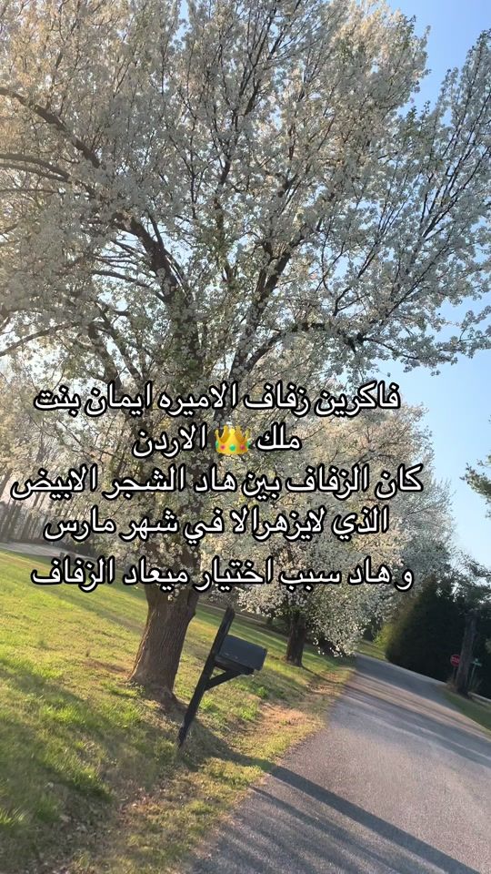 TikTok video thumbnail by mia4lifetime