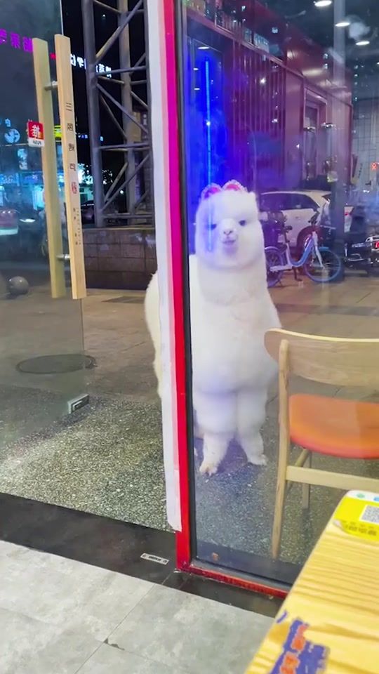 TikTok video thumbnail by danielledconnor
