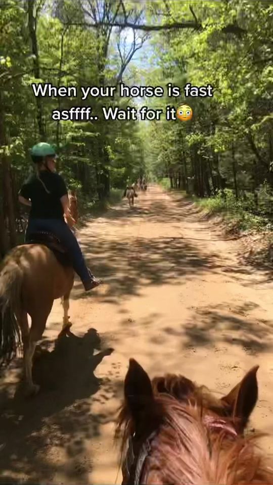 TikTok video thumbnail by avery.wiersema