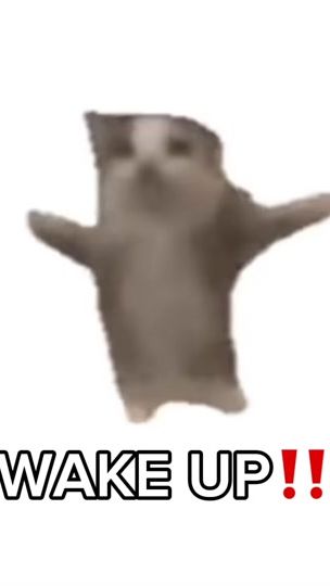 TikTok video thumbnail by captainelliebro