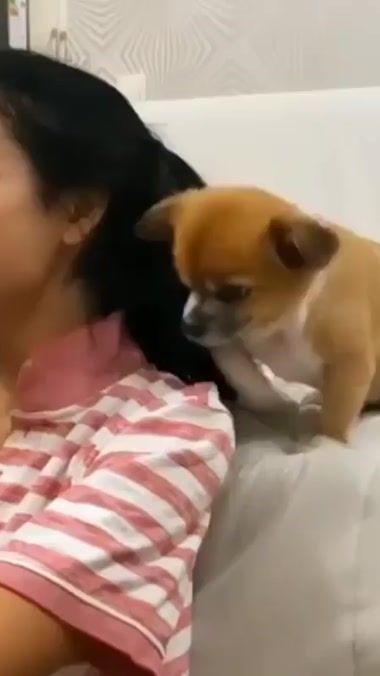 TikTok video thumbnail by mrsuperslime