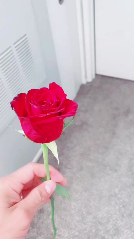 TikTok video thumbnail by elnica106