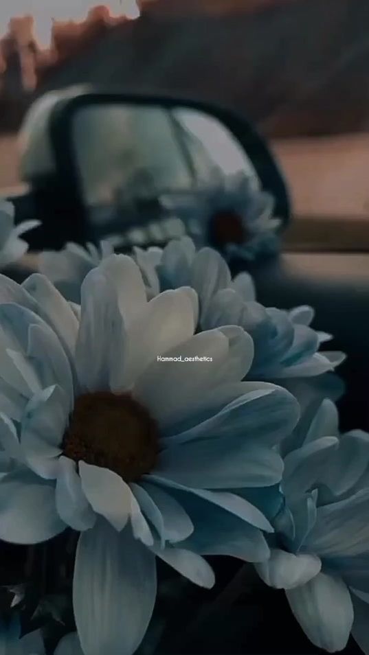 TikTok video thumbnail by hammad_edits.2