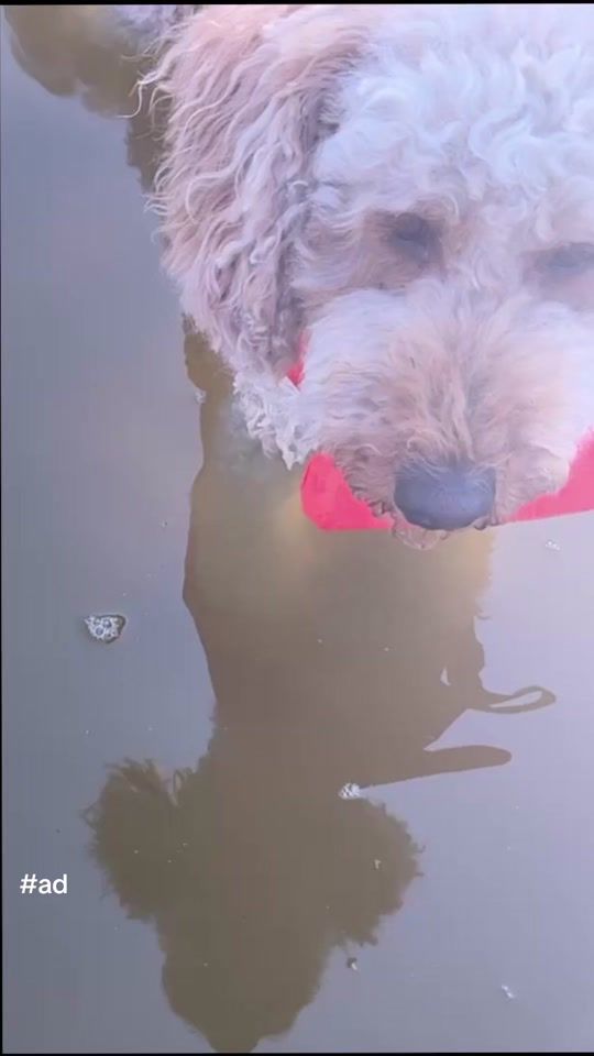 TikTok video thumbnail by kamrinoel