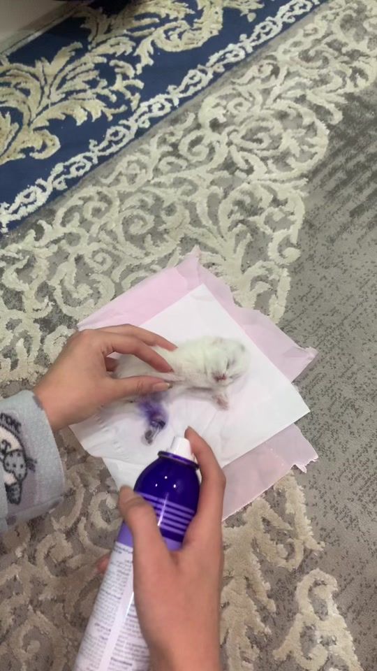 TikTok video thumbnail by miran_sindi