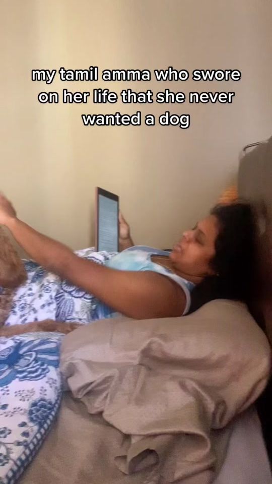 TikTok video thumbnail by shreyvilay