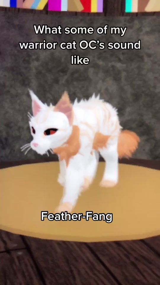 TikTok video thumbnail by 0tter.splash
