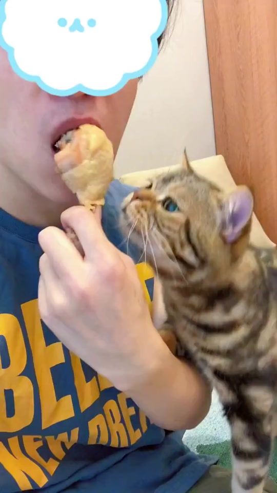 TikTok video thumbnail by leonanc