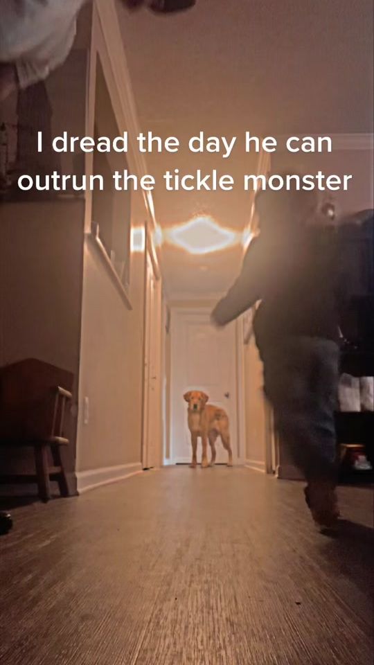 TikTok video thumbnail by dr3w89