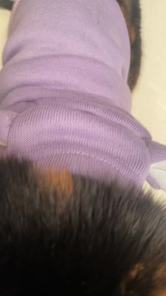 TikTok video thumbnail by lovenunini