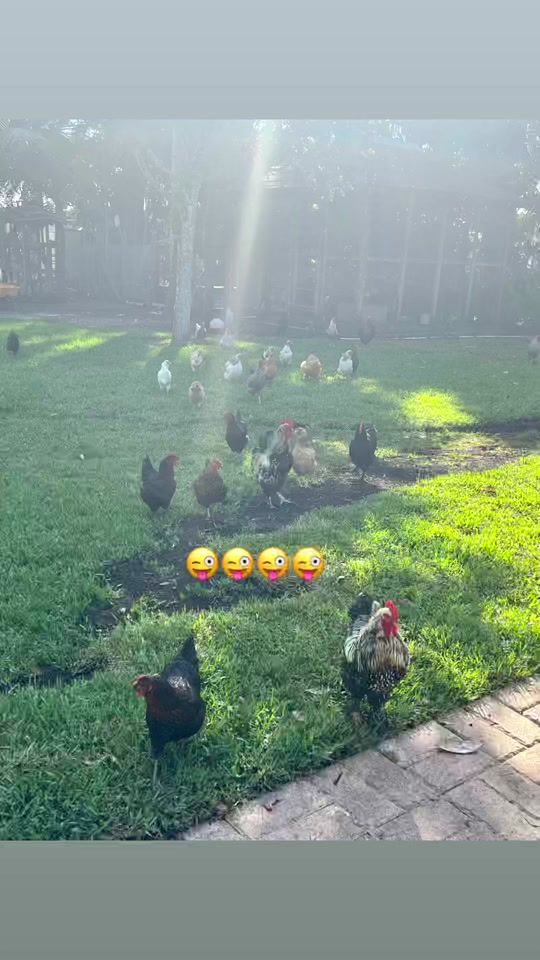 TikTok video thumbnail by aneisygonzalez31