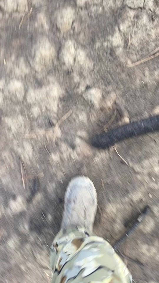 TikTok video thumbnail by 406archery