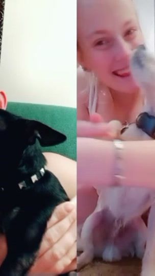 TikTok video thumbnail by bakugosteddybear26