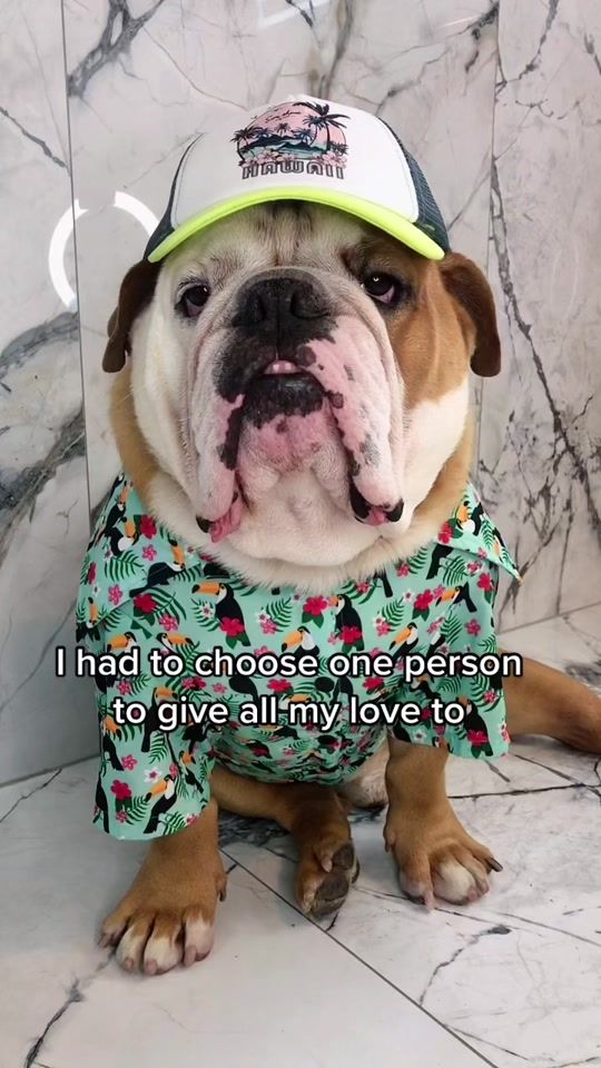 TikTok video thumbnail by elsebazmartinez