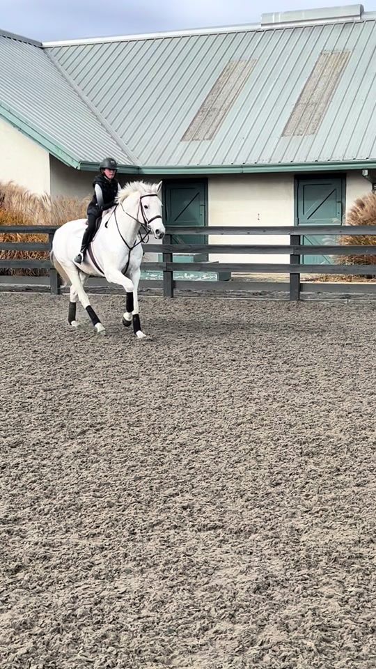 TikTok video thumbnail by addie.horse.spamss