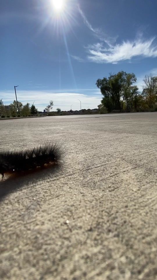 TikTok video thumbnail by lunchhtrey