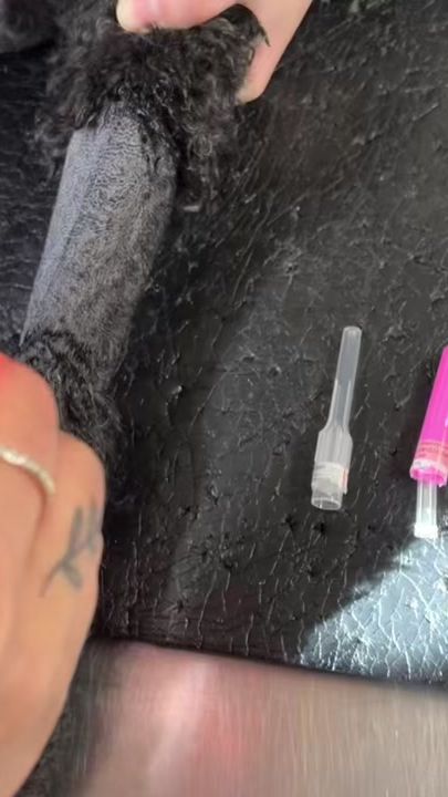 TikTok video thumbnail by jkearneyxo