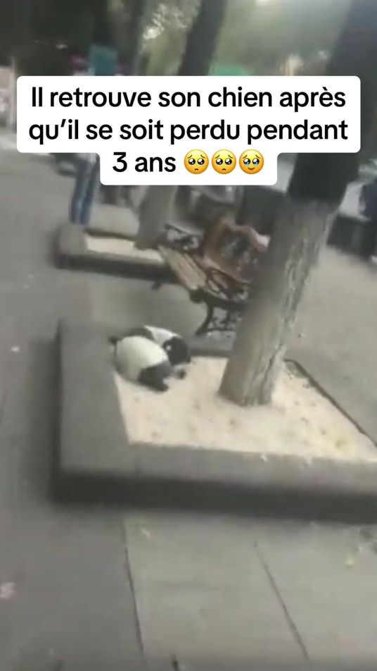 TikTok video thumbnail by roparzh_