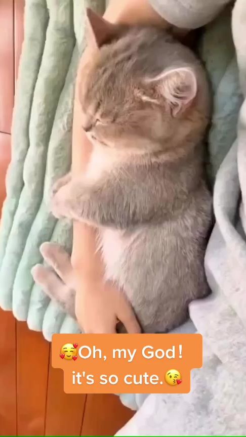 TikTok video thumbnail by scratchmyheart