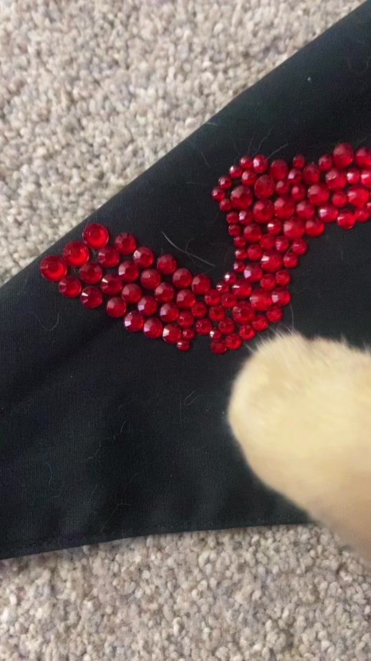TikTok video thumbnail by hellokenzie00