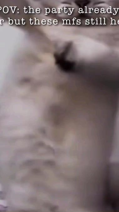 TikTok video thumbnail by edixeu