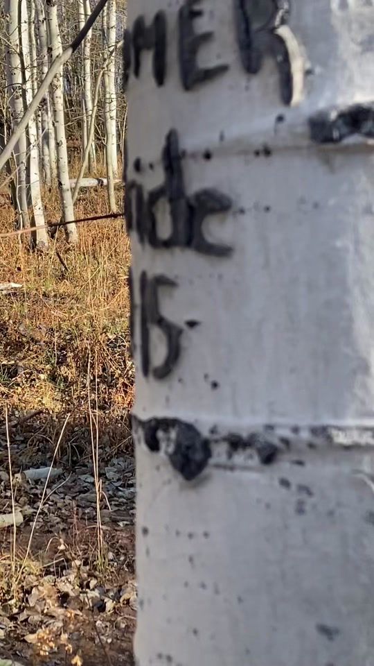 TikTok video thumbnail by highcountryregulators